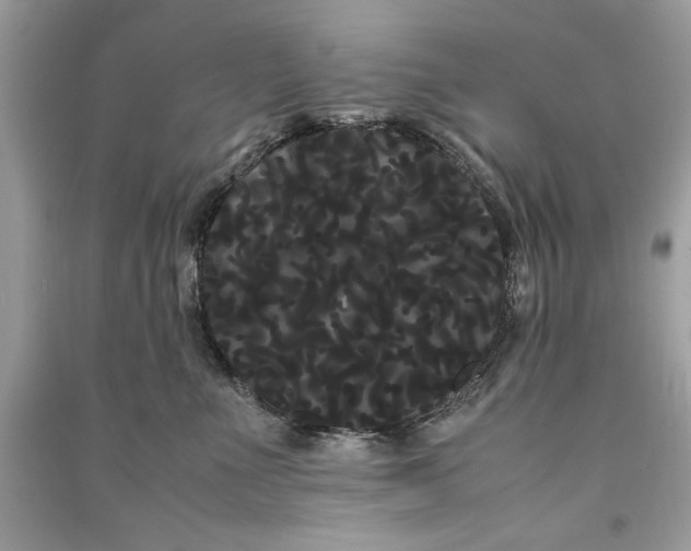 X0000090860523200708101222