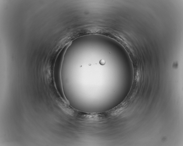 X0000090860524200708101222