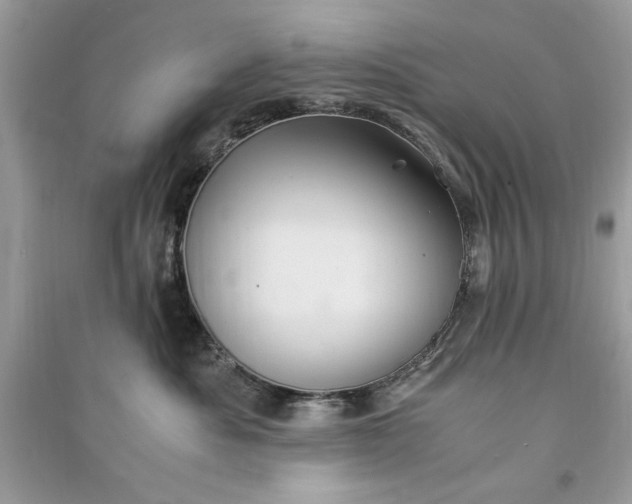 X0000090860525200708101222