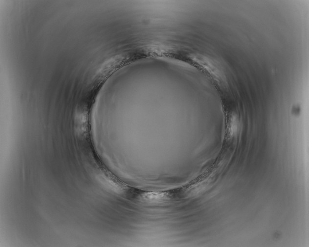 X0000090860526200708101222