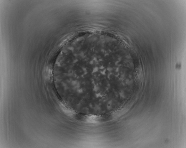 X0000090860527200708101222