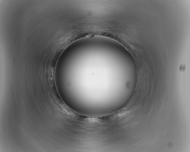 X0000090860528200708101222