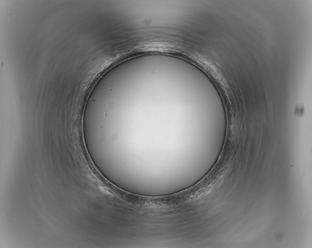 X0000090860529200708101221