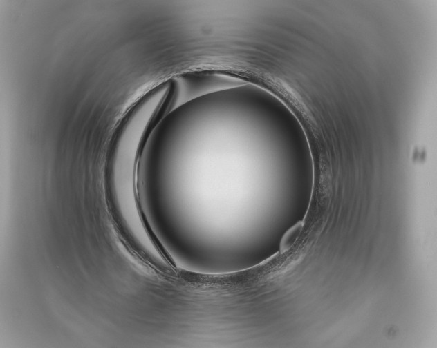 X0000090860530200708101221