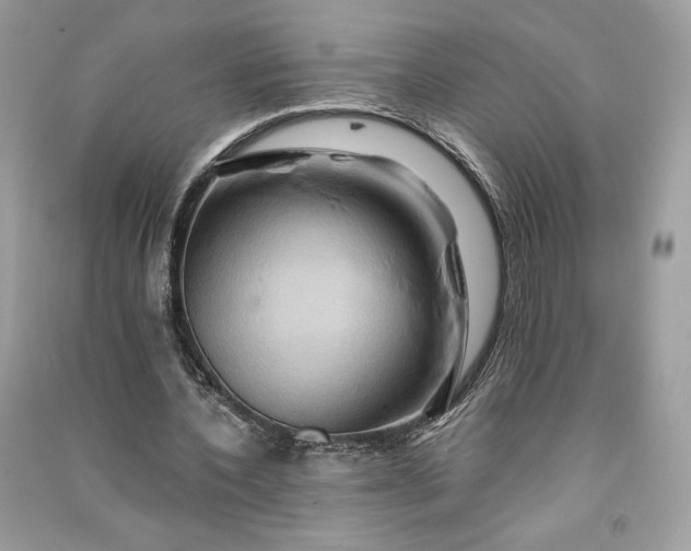 X0000090860532200708101221