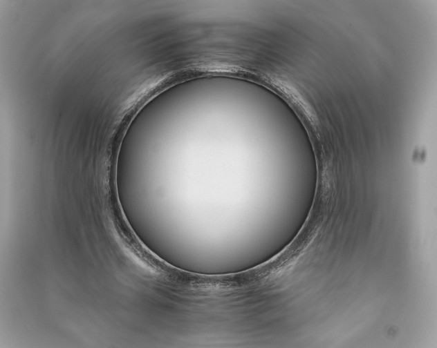 X0000090860533200708101221