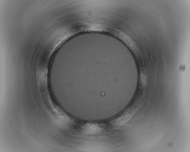 X0000090860534200708101221