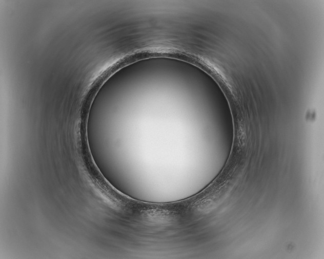 X0000090860535200708101221