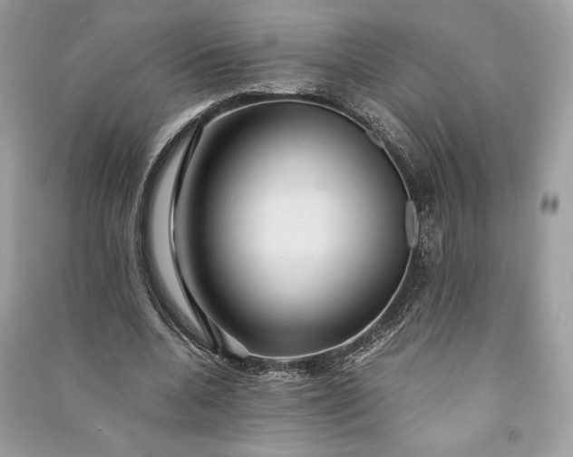 X0000090860536200708101221