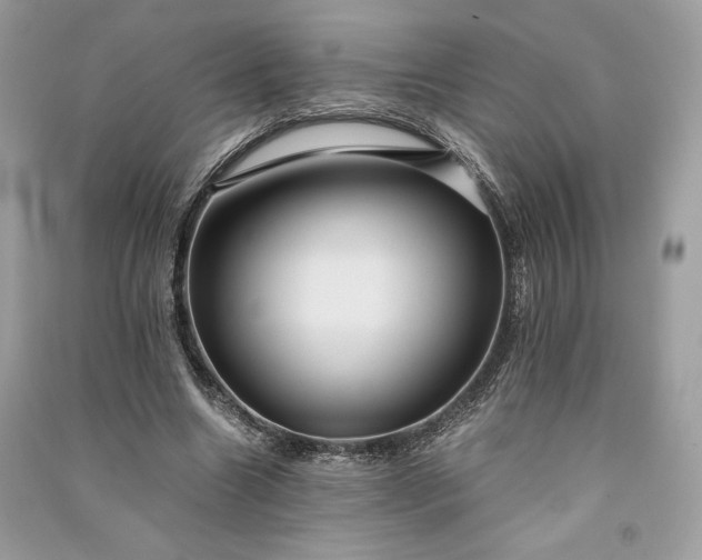 X0000090860538200708101221