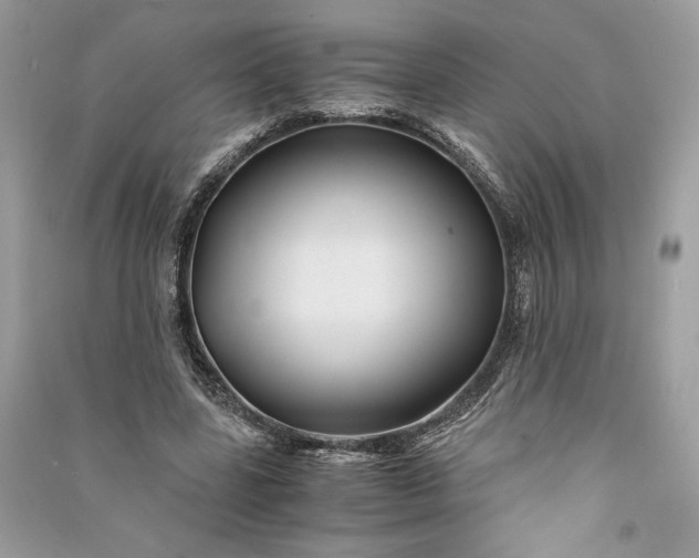 X0000090860539200708101221