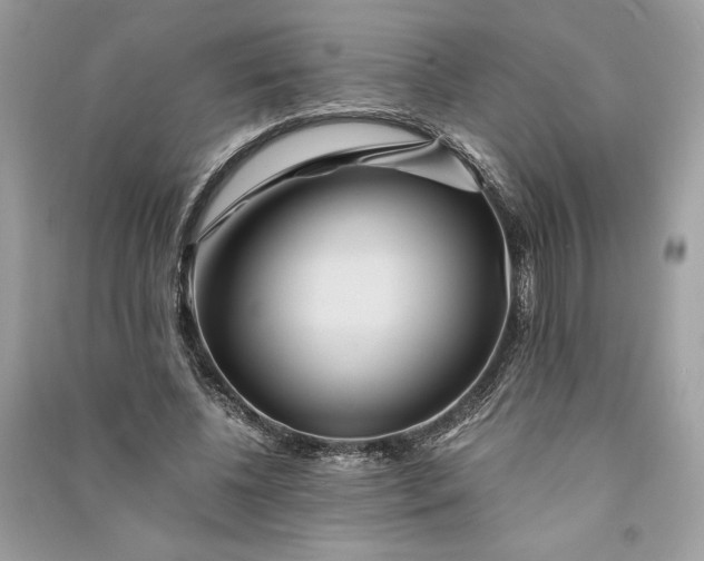 X0000090860540200708101221