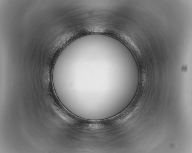 X0000090860541200708101221