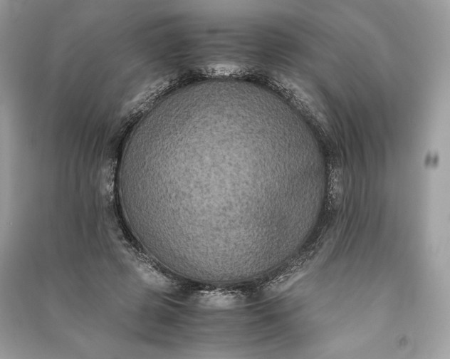 X0000090860545200708101221