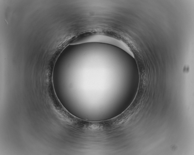 X0000090860546200708101221