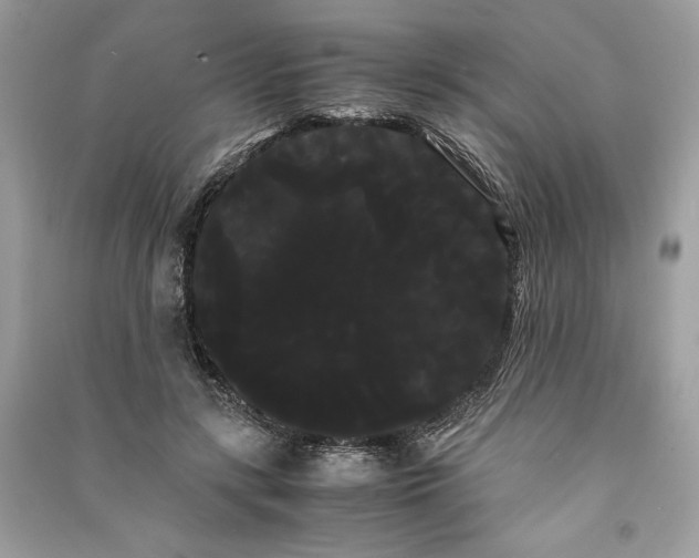 X0000090860547200708101221