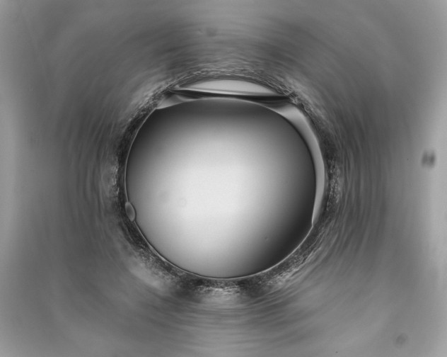 X0000090860548200708101221