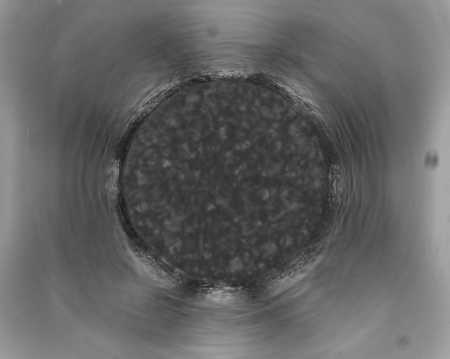 X0000090860550200708101221