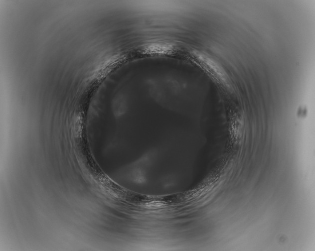 X0000090860551200708101221