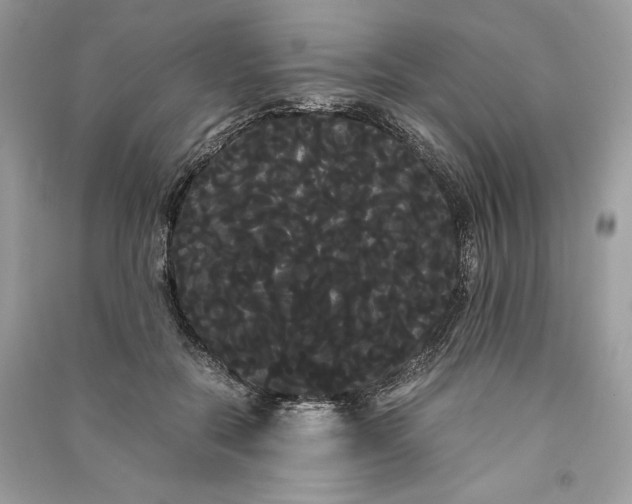 X0000090860554200708101221