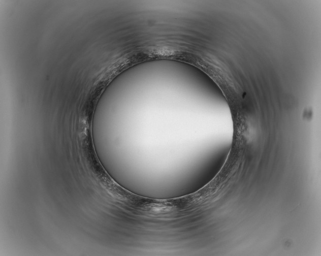 X0000090860555200708101221