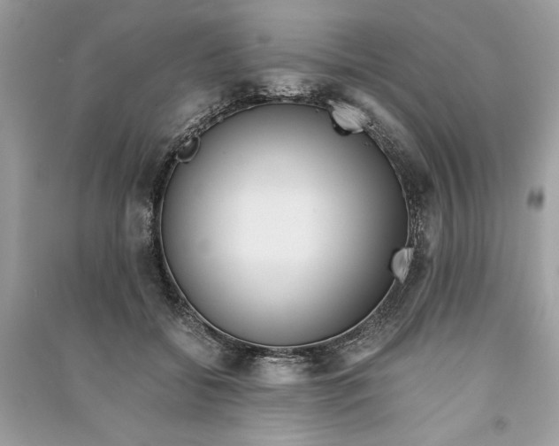 X0000090860556200708101222