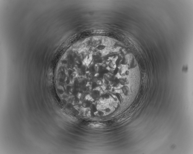 X0000090860557200708101222