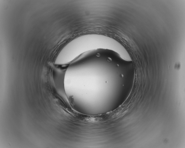 X0000090860558200708101222