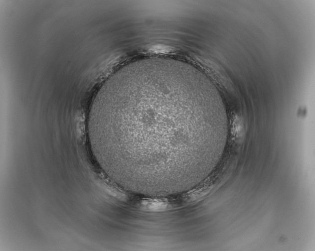 X0000090860559200708101222