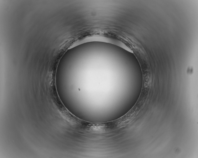 X0000090860560200708101222