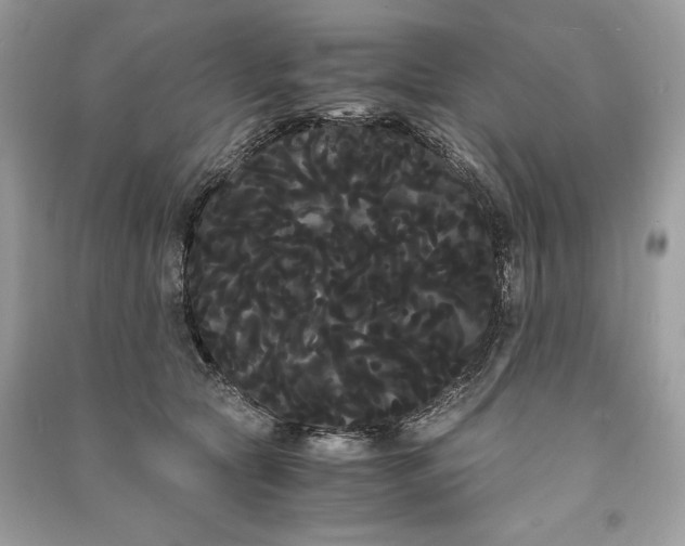 X0000090860561200708101222