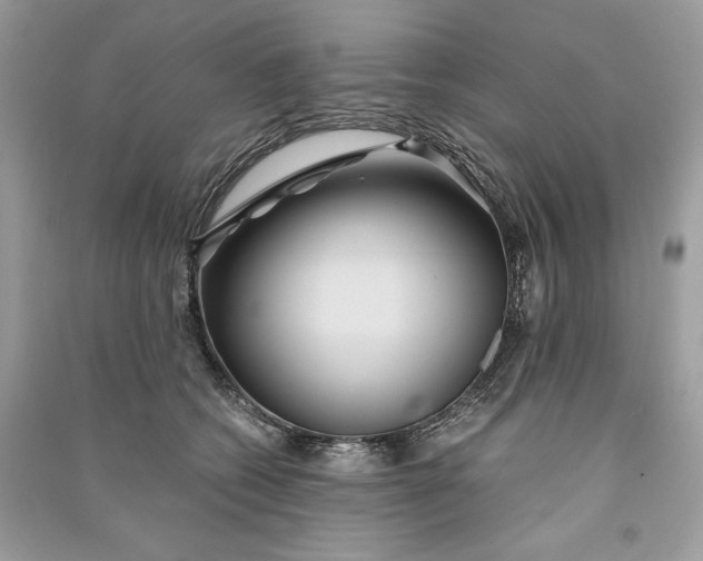 X0000090860562200708101222