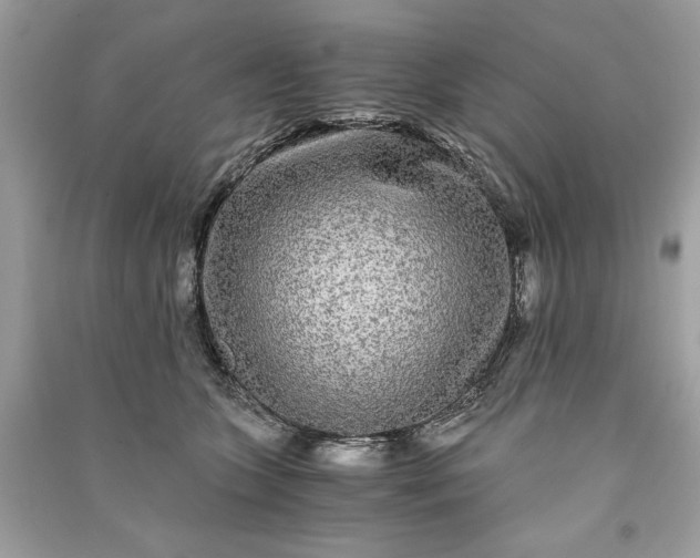 X0000090860563200708101222