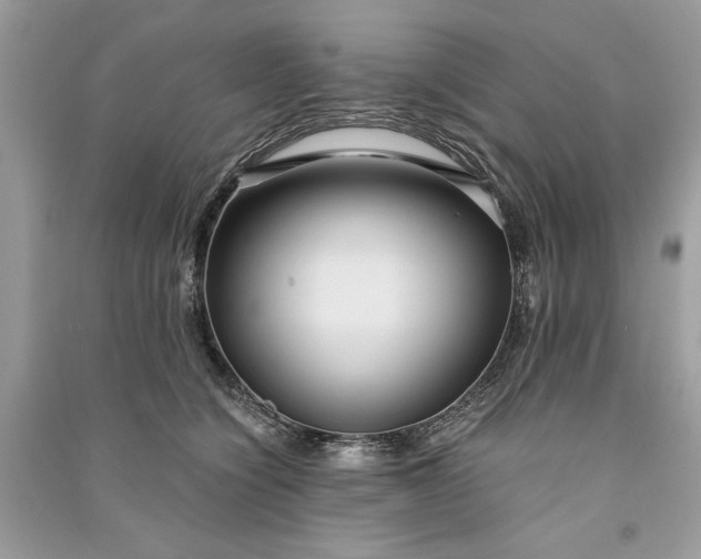 X0000090860564200708101222