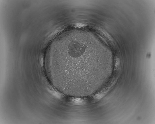 X0000090860565200708101222