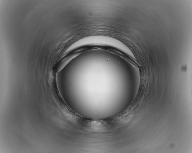 X0000090860566200708101222