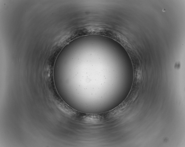 X0000090860567200708101222