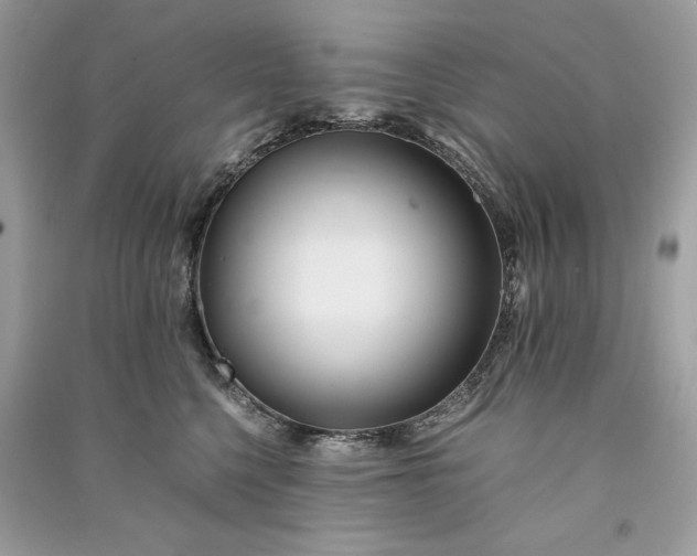 X0000090860568200708101222