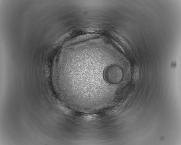 X0000090860569200708101222