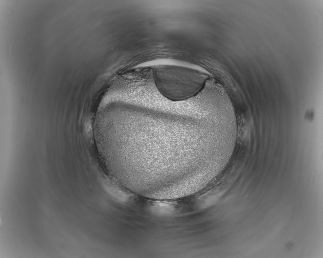 X0000090860573200708101222