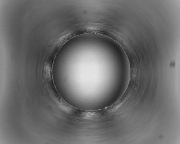 X0000090860575200708101222