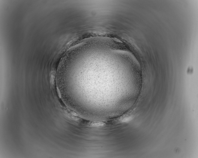 X0000090860576200708101222