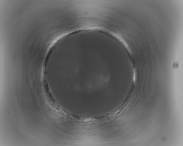 X0000090860579200708101221