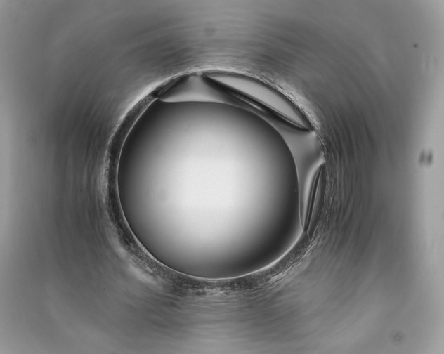 X0000090860580200708101221