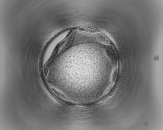 X0000090860581200708101221