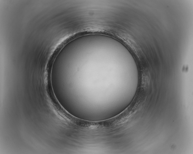 X0000090860584200708101221