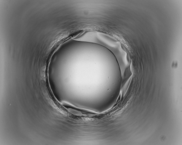 X0000090860585200708101221