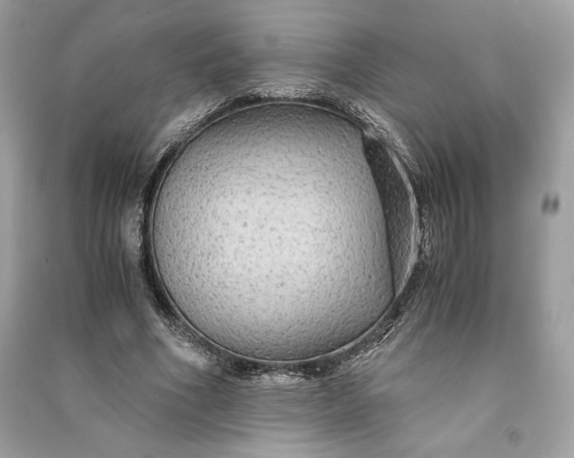 X0000090860586200708101221