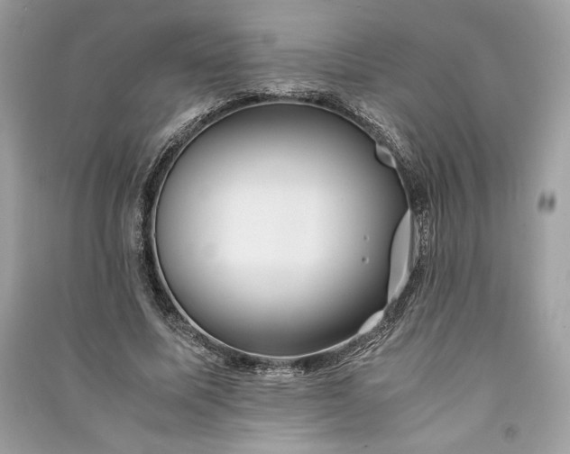 X0000090860587200708101221