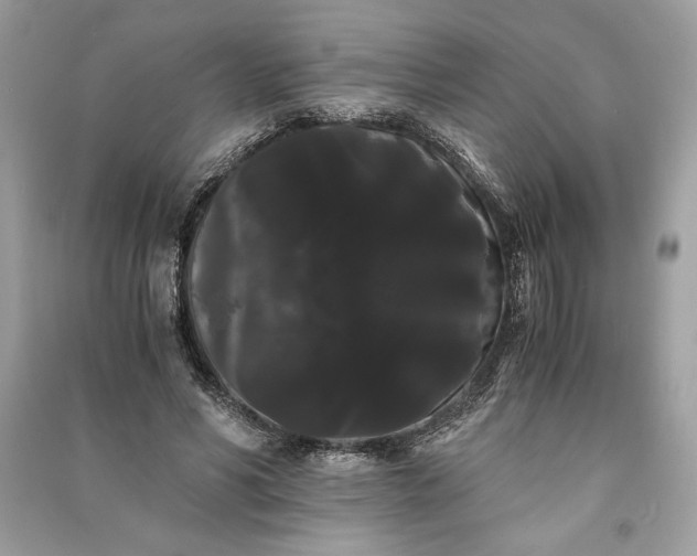 X0000090860590200708101221